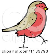 Cartoon Of A Robin Bird 1 Royalty Free Vector Clipart