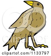 Cartoon Of A Bird 3 Royalty Free Vector Clipart