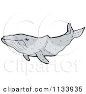 Poster, Art Print Of Humpback Whale
