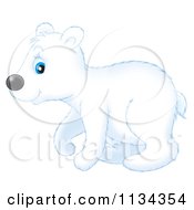 Poster, Art Print Of Cute Polar Bear