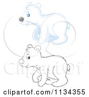 Poster, Art Print Of Cute Outlined And Colored Polar Bear