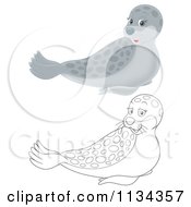Cartoon Of A Cute Outlined And Colored Seal Royalty Free Clipart