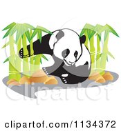 Poster, Art Print Of Panda With Bamboo Stalks