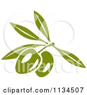 Clipart Of Green Olives On The Tree 1 Royalty Free Vector Illustration