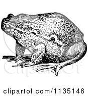 Clipart Of A Retro Black And White Bull Frog 1 Royalty Free Vector Illustration