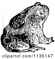 Poster, Art Print Of Retro Black And White Bull Frog 2
