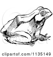 Clipart Of A Retro Black And White Bull Frog 3 Royalty Free Vector Illustration