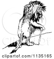 Poster, Art Print Of Retro Vintage Black And White Injured Lion Using A Cane