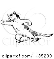 Clipart Of A Retro Vintage Black And White Threatening Cat Royalty Free Vector Illustration