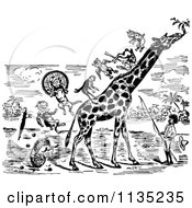 Clipart Of A Retro Vintage Black And White Man And Stunt Animals On A Giraffe Royalty Free Vector Illustration