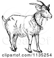 Clipart Of A Retro Vintage Black And White Goat Wearing A Bell Royalty Free Vector Illustration