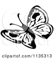Clipart Of A Retro Vintage Black And White Butterfly Royalty Free Vector Illustration