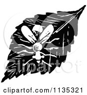 Clipart Of A Retro Vintage Black And White Fly On A Leaf Royalty Free Vector Illustration