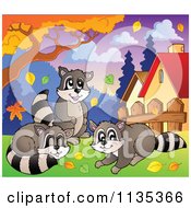 Cartoon Of Raccoons Under An Autumn Tree Royalty Free Vector Clipart by visekart