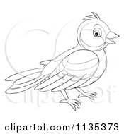 Poster, Art Print Of Outlined Bird