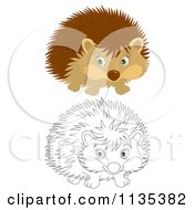 Cartoon Of Cute Outlined And Colored Hedgehogs Royalty Free Vector Clipart