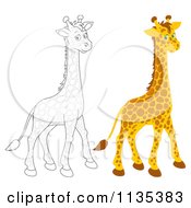 Poster, Art Print Of Cute Outlined And Colored Giraffe
