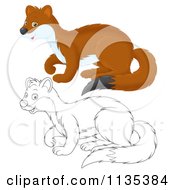 Cute Outlined And Colored Weasel