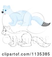 Poster, Art Print Of Cute Outlined And Colored Weasel 2