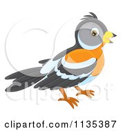 Cartoon Of A Bird Royalty Free Vector Clipart