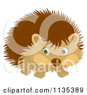 Cartoon Of A Cute Hedgehog Royalty Free Vector Clipart