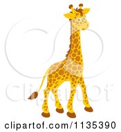 Poster, Art Print Of Cute Giraffe