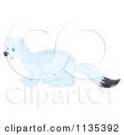 Cartoon Of A Cute White Weasel Royalty Free Vector Clipart by Alex Bannykh