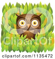 Poster, Art Print Of Brown Owl In Leaves