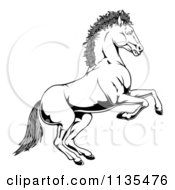 Clipart Of A Black And White Rearing Horse Royalty Free Vector Illustration