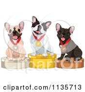 Cute Show French Bulldogs On Placement Podiums