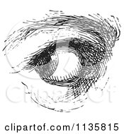 Clipart Of A Retro Vintage Watchful Eye In Black And White Royalty Free Vector Illustration