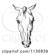 Clipart Of A Retro Vintage Engraved Horse Anatomy Of A Bad Head In Black And White 3 Royalty Free Vector Illustration