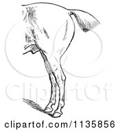 Clipart Of A Retro Vintage Engraved Horse Anatomy Of Bad Hind Quarters In Black And White 1 Royalty Free Vector Illustration