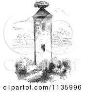 Retro Vintage Stork Nest On A Tower In Black And White