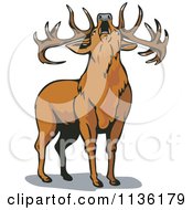 Poster, Art Print Of Roaring Deer