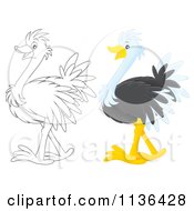 Poster, Art Print Of Cute Outlined And Colored Ostrich