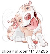 Happy Pit Bull Dog Itching His Ear