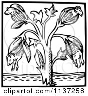 Clipart Of A Retro Vintage Cotton Plant With Lambs In Black And White Royalty Free Vector Illustration