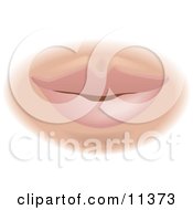 Womans Lips And Mouth Clipart Illustration