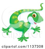 Poster, Art Print Of Cute Green Gecko