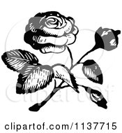 Poster, Art Print Of Retro Vintage Black And White Rose 2