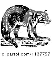 Clipart Of A Retro Vintage Black And White Raccoon Royalty Free Vector Illustration