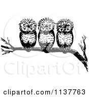 Poster, Art Print Of Retro Vintage Black And White Three Owls On A Branch