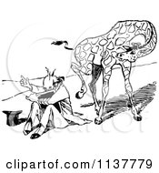 Clipart Of A Retro Vintage Black And White Giraffe Kicking A Man Royalty Free Vector Illustration
