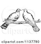 Clipart Of A Retro Vintage Black And White Dove Pair On A Branch Royalty Free Vector Illustration by Prawny Vintage