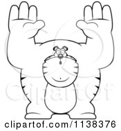Cartoon Clipart Of An Outlined Buff Tiger Giving Up Black And White Vector Coloring Page