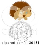 Cartoon Of A Cute Brown And Black And White Hedgehog Royalty Free Vector Clipart