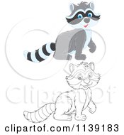 Cartoon Of A Cute Colored And Black And White Raccoon Royalty Free Vector Clipart by Alex Bannykh