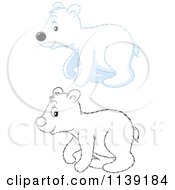 Poster, Art Print Of Cute Colored And Black And White Polar Bear Cub