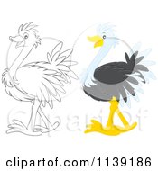Poster, Art Print Of Cute Colored And Black And White Baby Ostrich